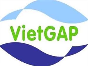 Chứng nhận VietGAP chăn nuôi